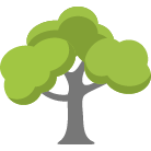 Snellville Tree Removal