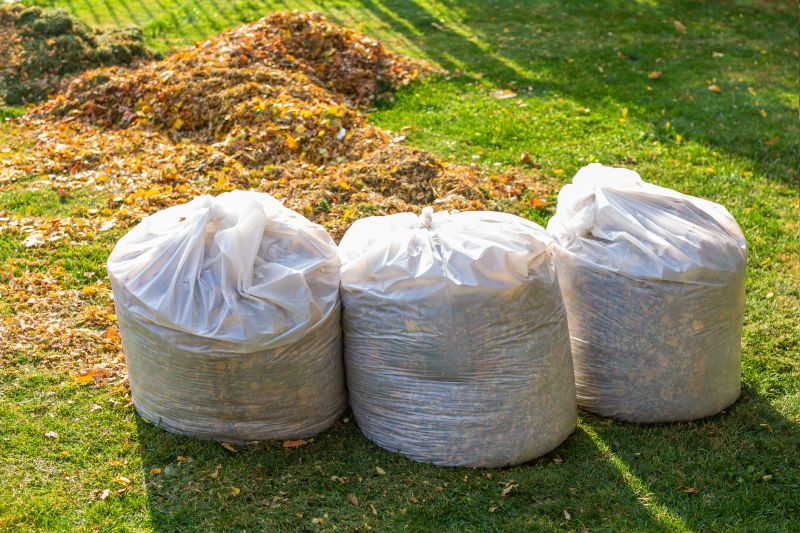 Leaf Collection Process