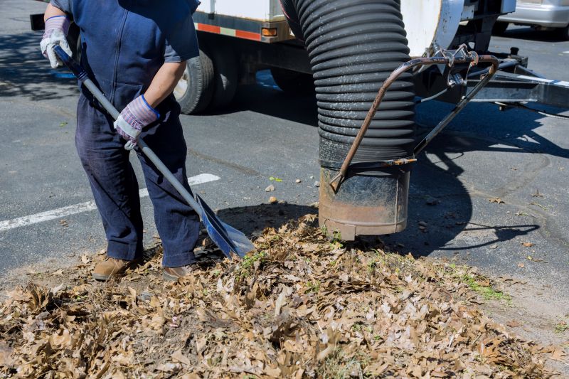 Clean Yard with Leaf Removal Service
