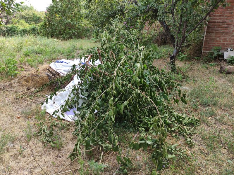 Clearing Debris from Driveway