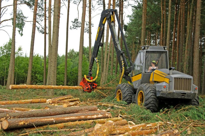 Equipment Used in Tree Removal