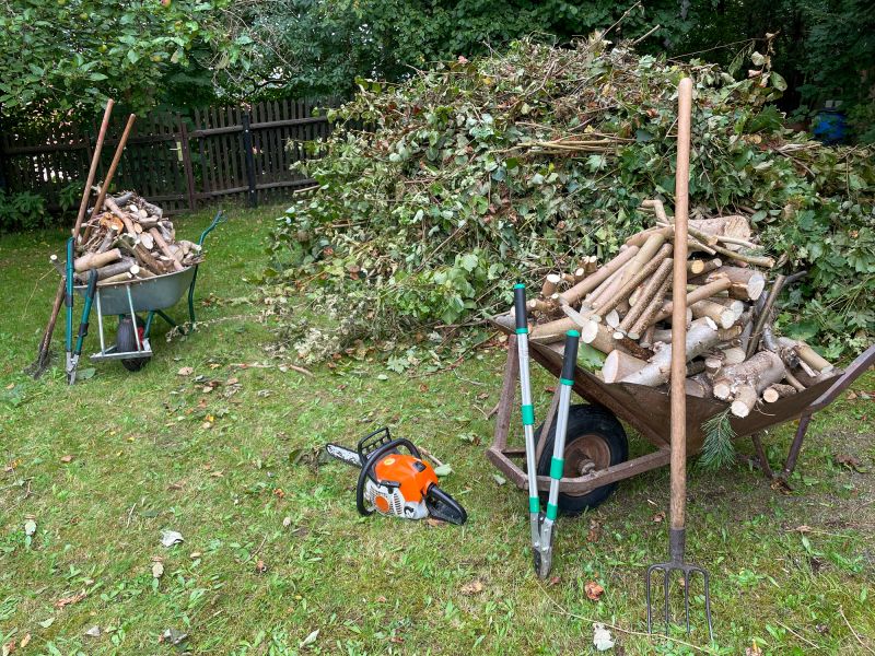 Completed Tree Removal Project