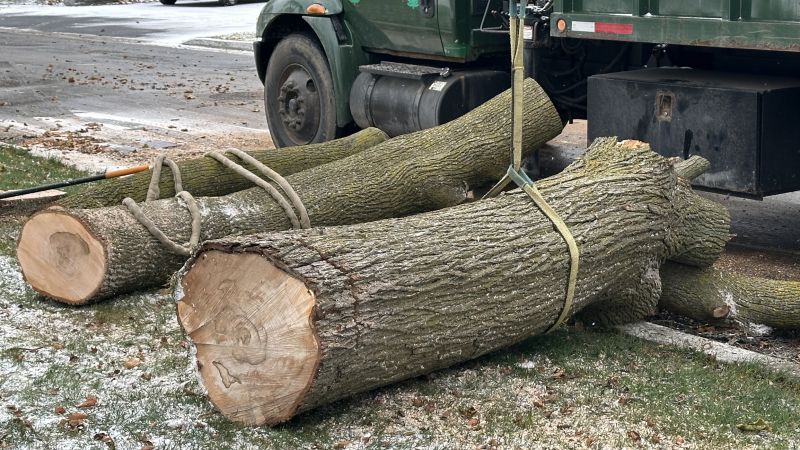 Land Clearing Services