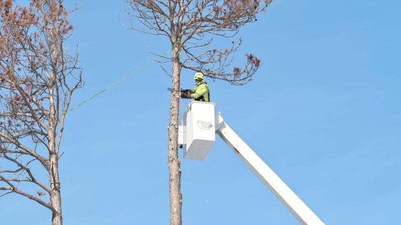 Expert Equipment and Techniques